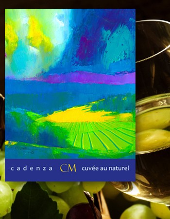 Cadenza